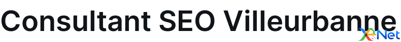 Consultant SEO Villeurbanne